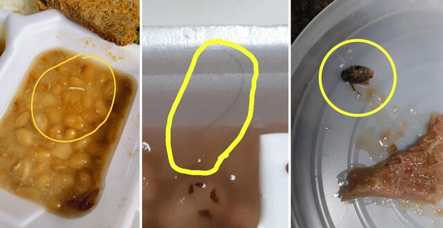 Servidores acham inseto, fios de cabelo e larvas em comida de hospital – CREDITO: CAMPO GRANDE NEWS
