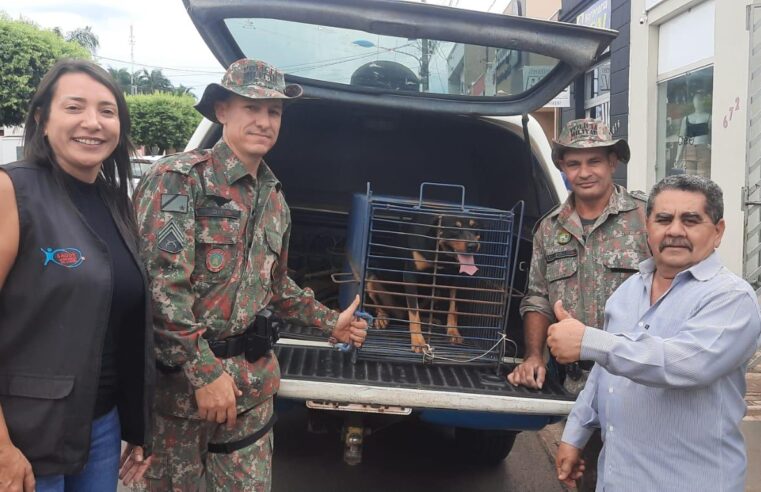 PMA e Vigilância Sanitária de Cassilândia resgatam Rottweiler abandonado por família que foi embora da cidade