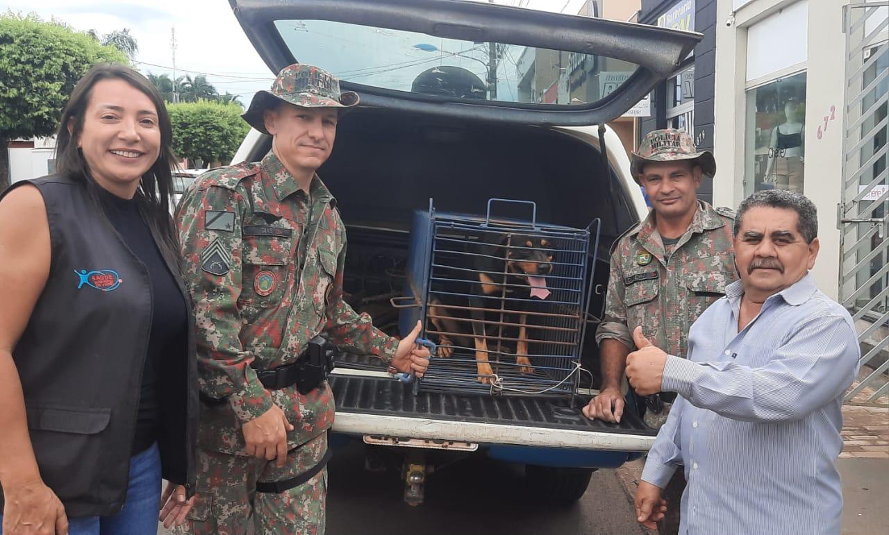 PMA e Vigilância Sanitária de Cassilândia resgatam Rottweiler abandonado por família que foi embora da cidade