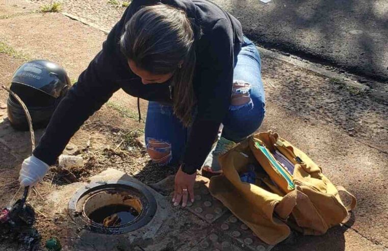 Mato Grosso do Sul tem 17 mortos por dengue e média de 4,2 mil casos confirmados por mês