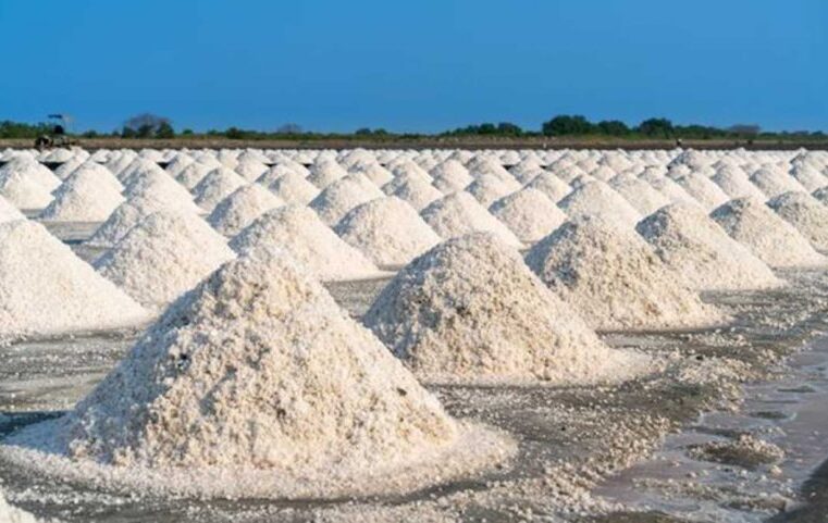 Brasil apresenta a maior reserva do minério sal-gema da América Latina
