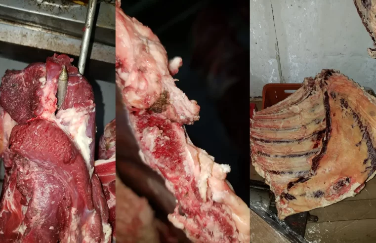 Dona de mercado é presa por vender carne clandestina e mais de 1 tonelada é descartada