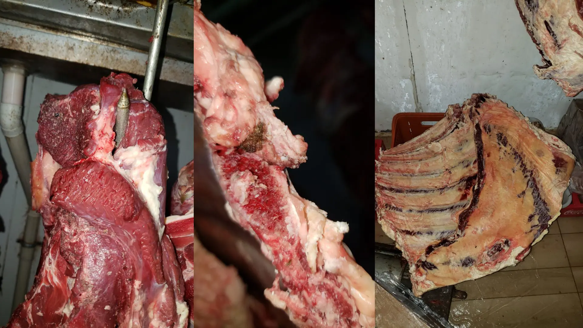 Dona de mercado é presa por vender carne clandestina e mais de 1 tonelada é descartada