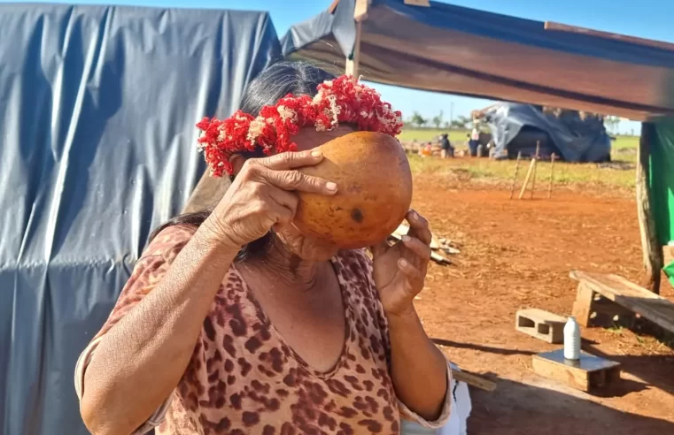 Com despejos e prisões, Mato Grosso do Sul tem uma violação contra indígenas a cada 11 horas