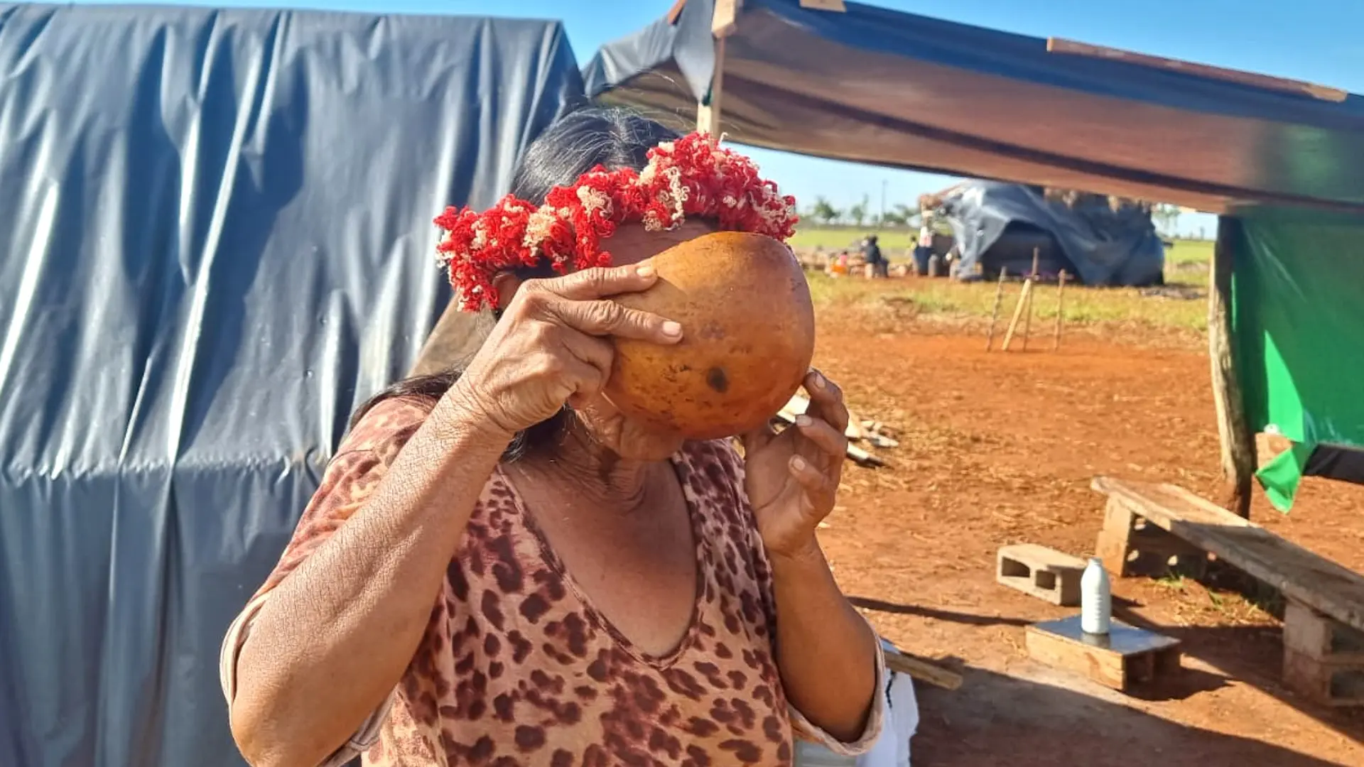 Com despejos e prisões, Mato Grosso do Sul tem uma violação contra indígenas a cada 11 horas