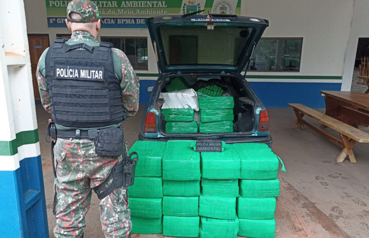 PMA apreende 640kg de Maconha