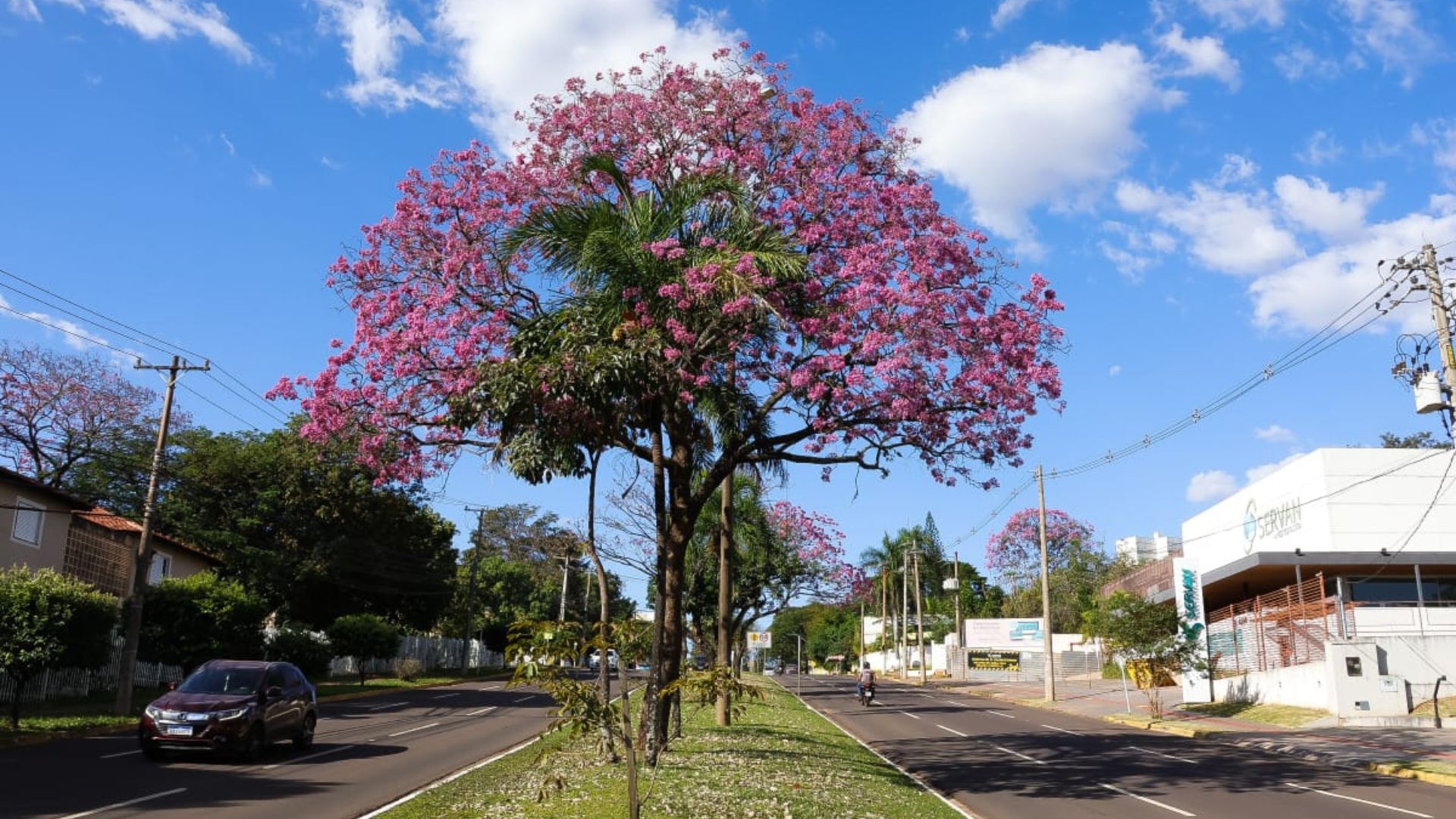 Cadê o inverno? Primeira semana de julho terá calor de 33ºC em Mato Grosso do Sul