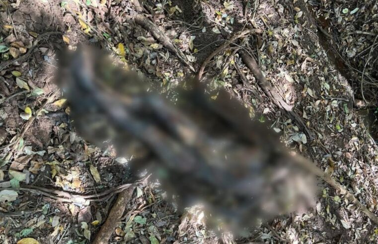 Corpo de homem ‘mumificado’ é encontrado perto de pesqueiro em Campo Grande