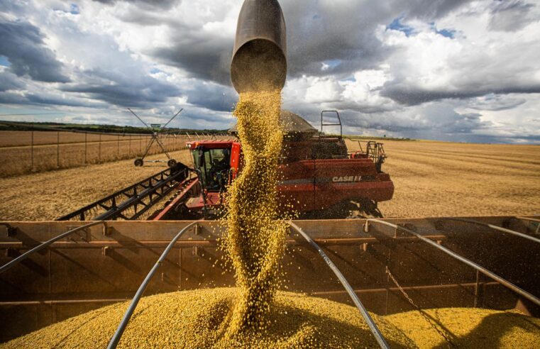 Agronegócio: Mato Grosso lidera produção agropecuária brasileira, segundo IBGE