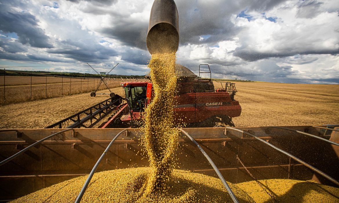 Agronegócio: Mato Grosso lidera produção agropecuária brasileira, segundo IBGE