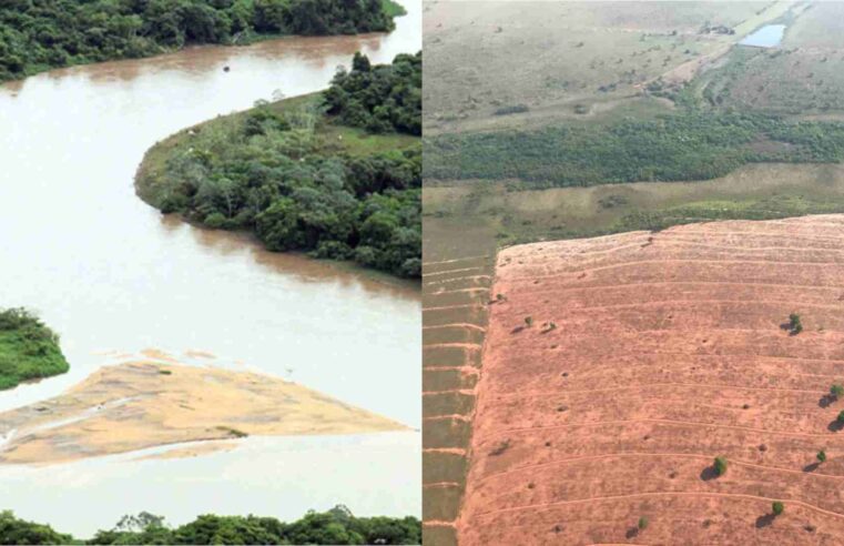 Preservação do rio Taquari e Pantanal terá 400 milhões de dólares em recursos para MS e MT