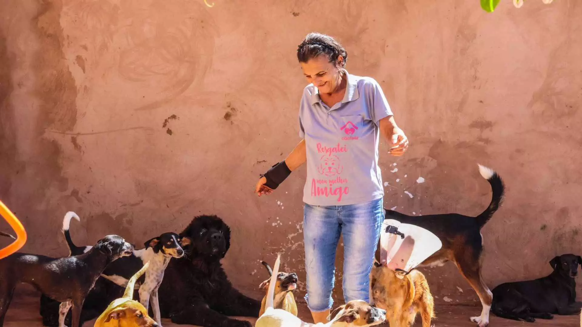 Enquanto abandono cresce, ONGs de Campo Grande resistem para que animais de rua tenham 2ª chance