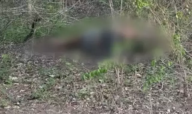 Tratorista encontra corpo com sinais de tiro e mãos amarradas em matagal