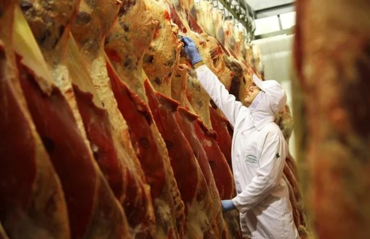 Brasil avança nas negociações para exportação de carne bovina à Turquia